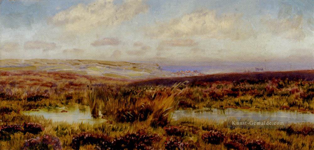 Fylingdales Moor Landschaft Brett John Ölgemälde